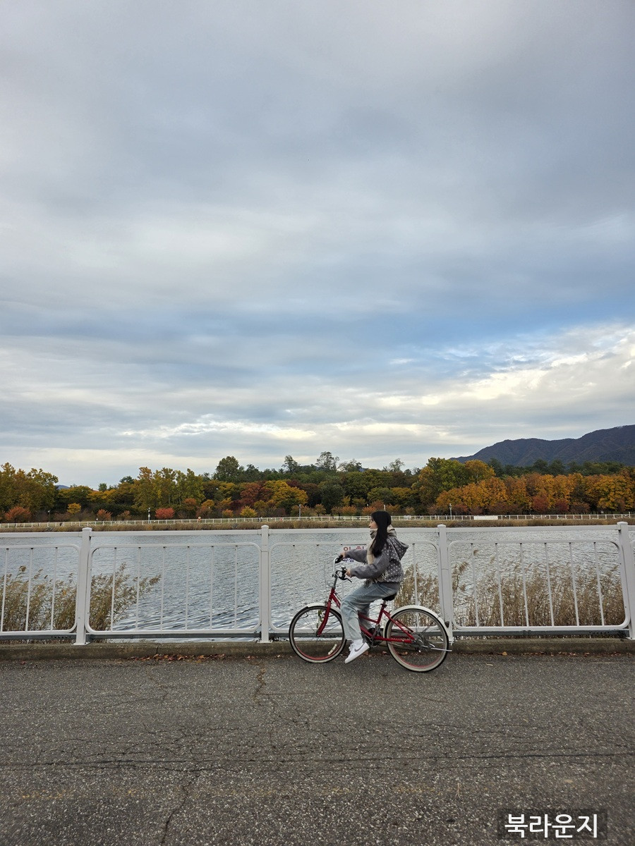 d7731e4f331a0784bfb04425a83c17c5.jpg